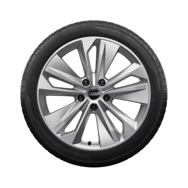 Audi Winterrad, 5-Doppelarm-Falx Audi Q6E
