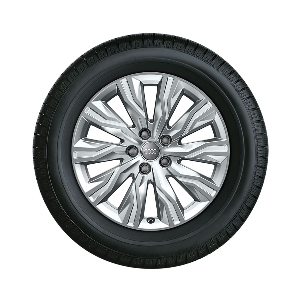 Rad, 10-Arm-Gravis Rad, 10-Arm-Gravis